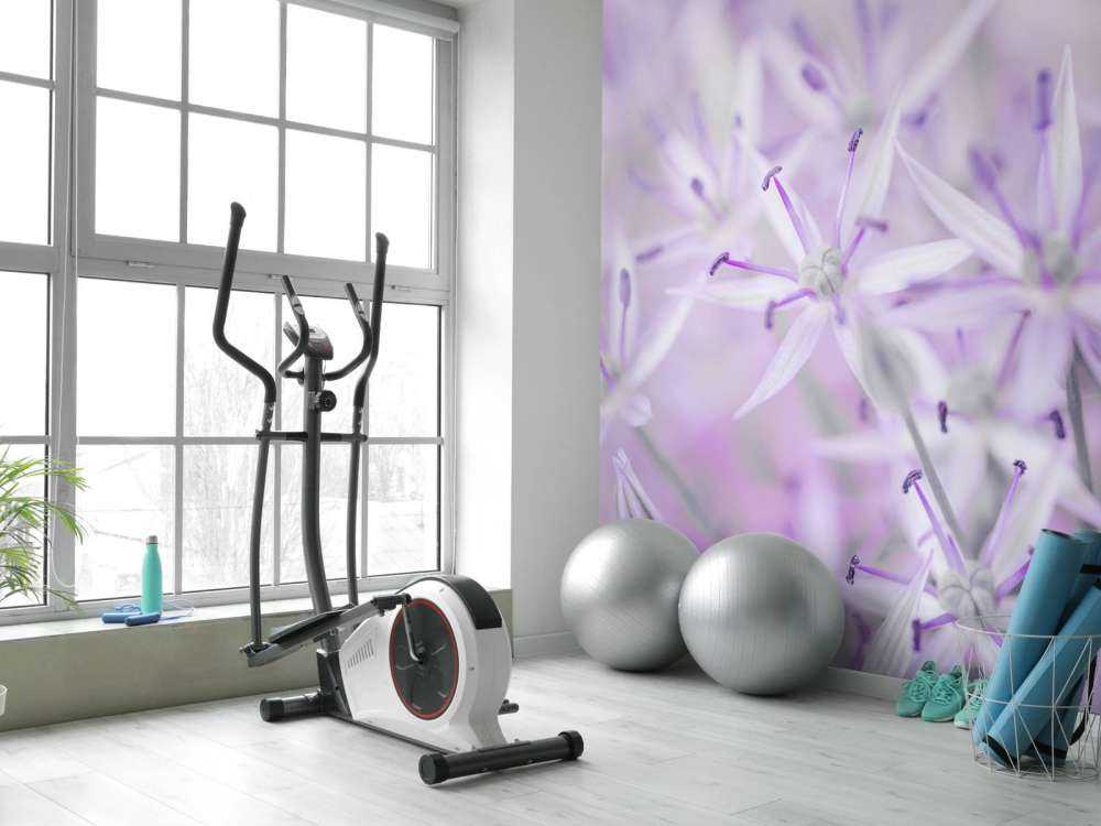 Close-up allium bloemen