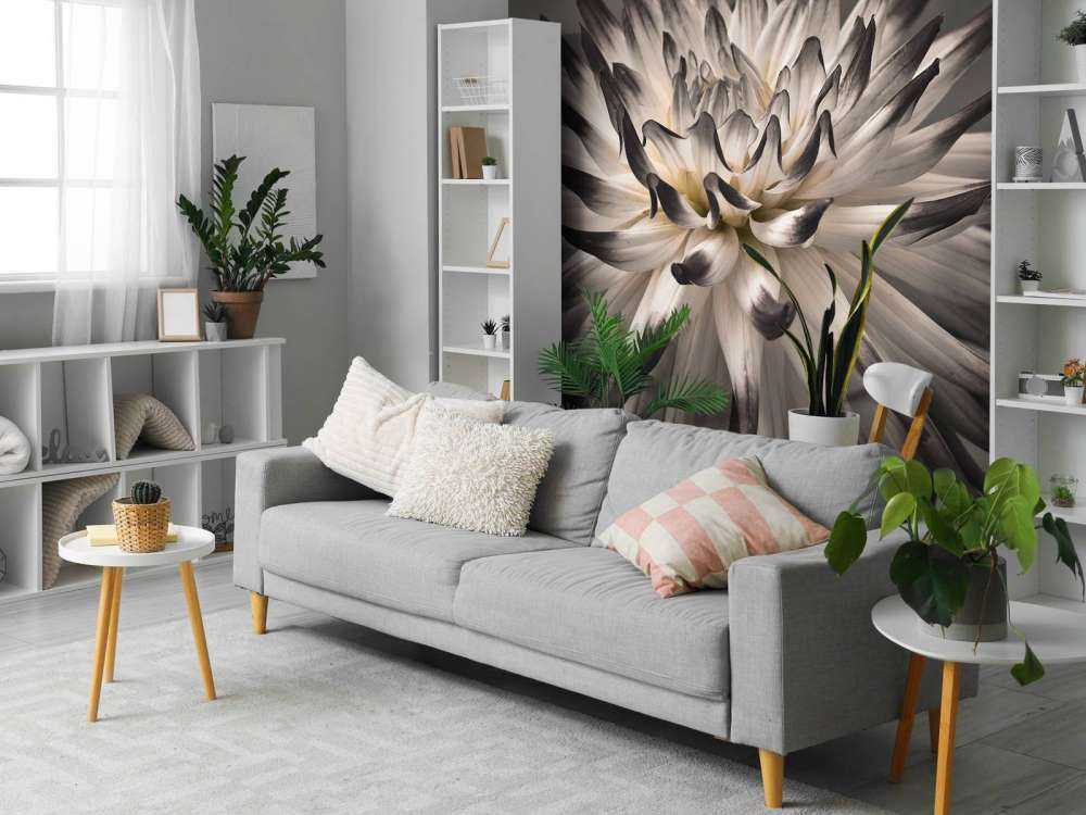 Dahlia bloem zwart wit