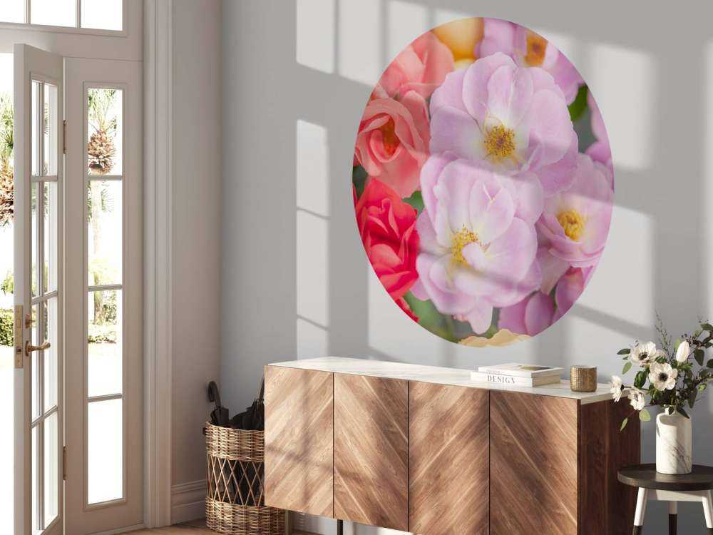 Kleurrijke bloemsoorten