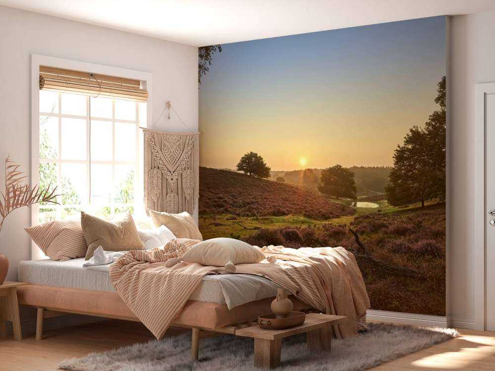 Waterplas op de heide