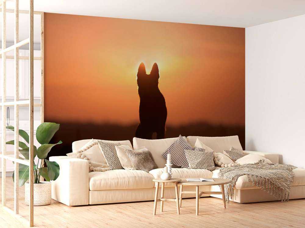 Hond bij zonsondergang