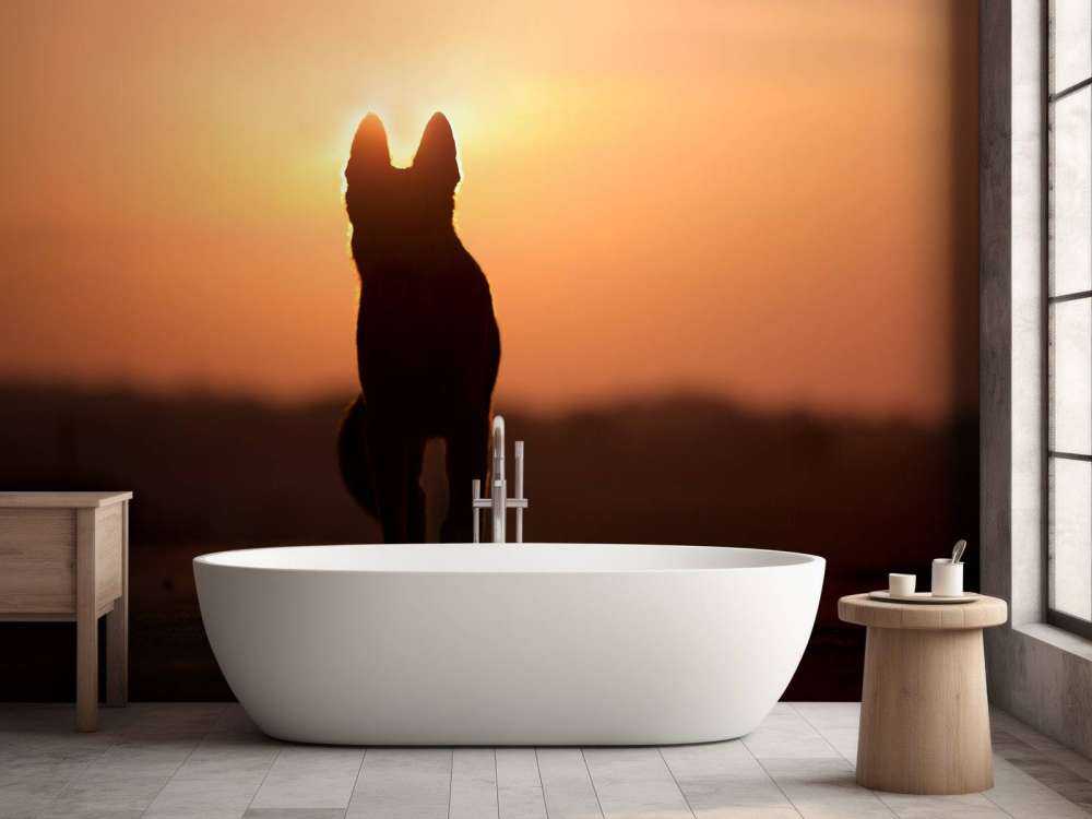 Hond bij zonsondergang