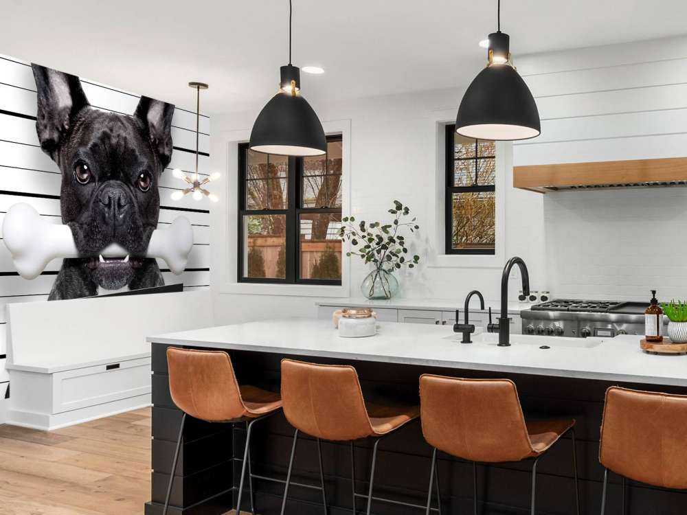 Franse Bulldog in de gevangenis