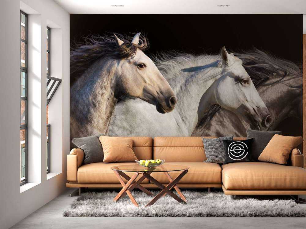 Drie paarden met een zwarte achtergrond