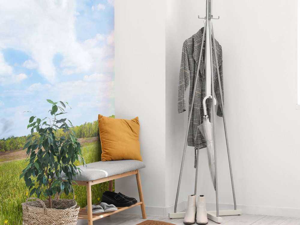 Open veld met Hond Engel wolk