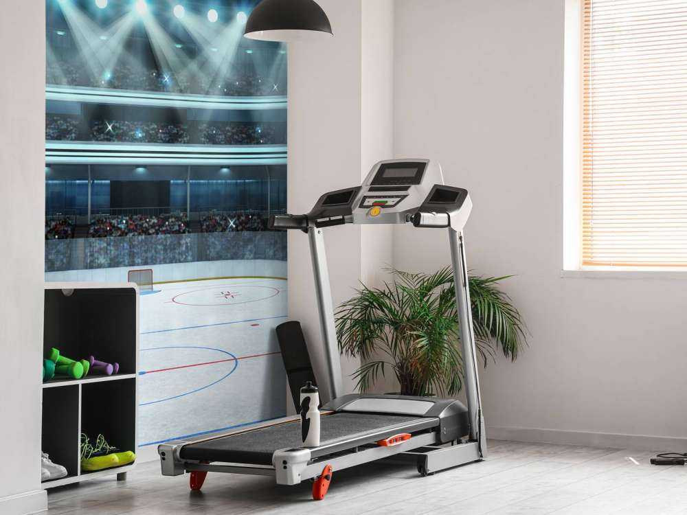 Luxueuze ijshockey arena op de lengte