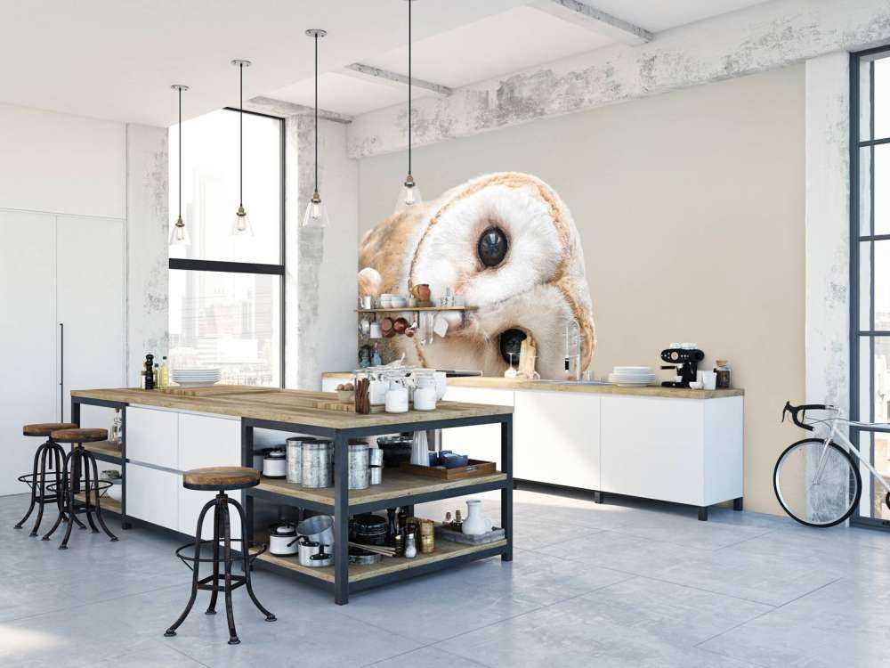 Uil met hoofd schuin