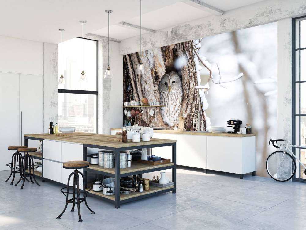 Witte uil in een holle boom