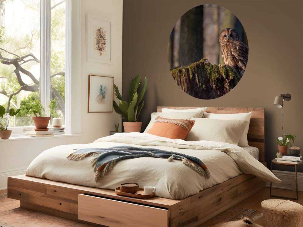 Uiltje op een afgebroken boom