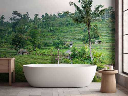 Rijstveld in Bali