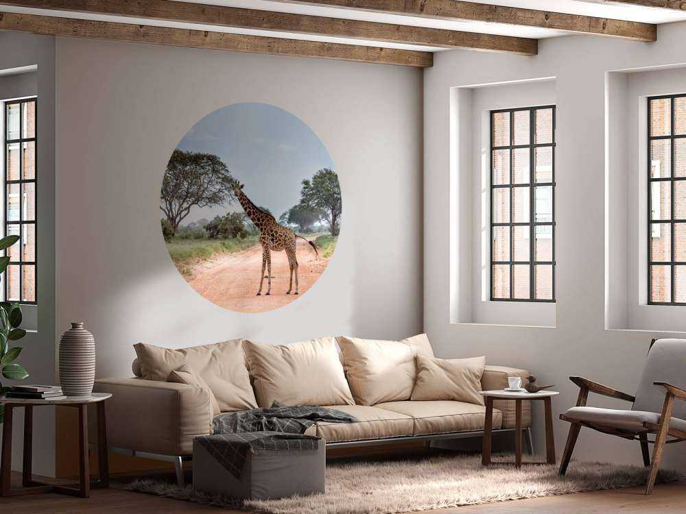 Verbaasde giraffe