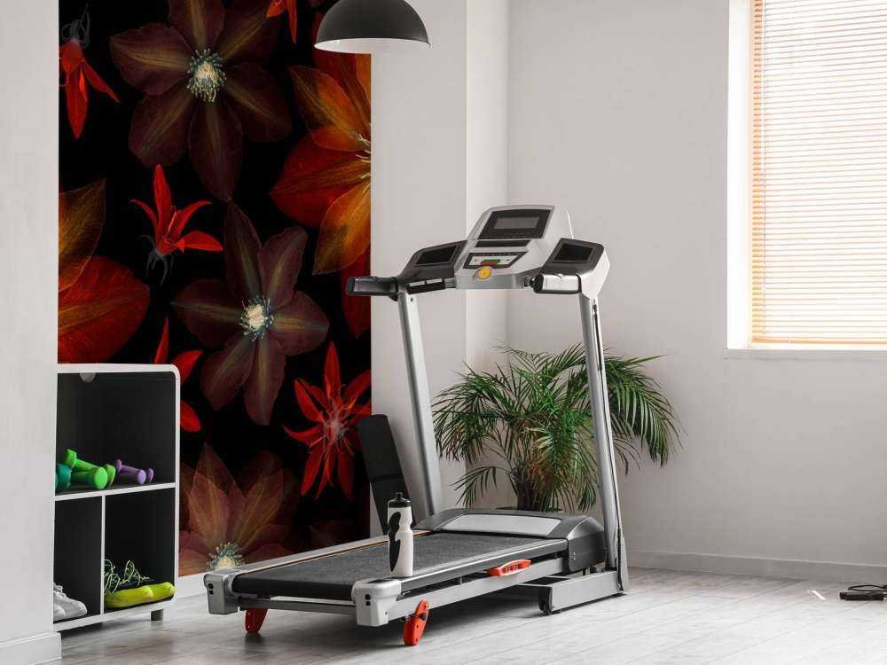 Rode clematis bloemen