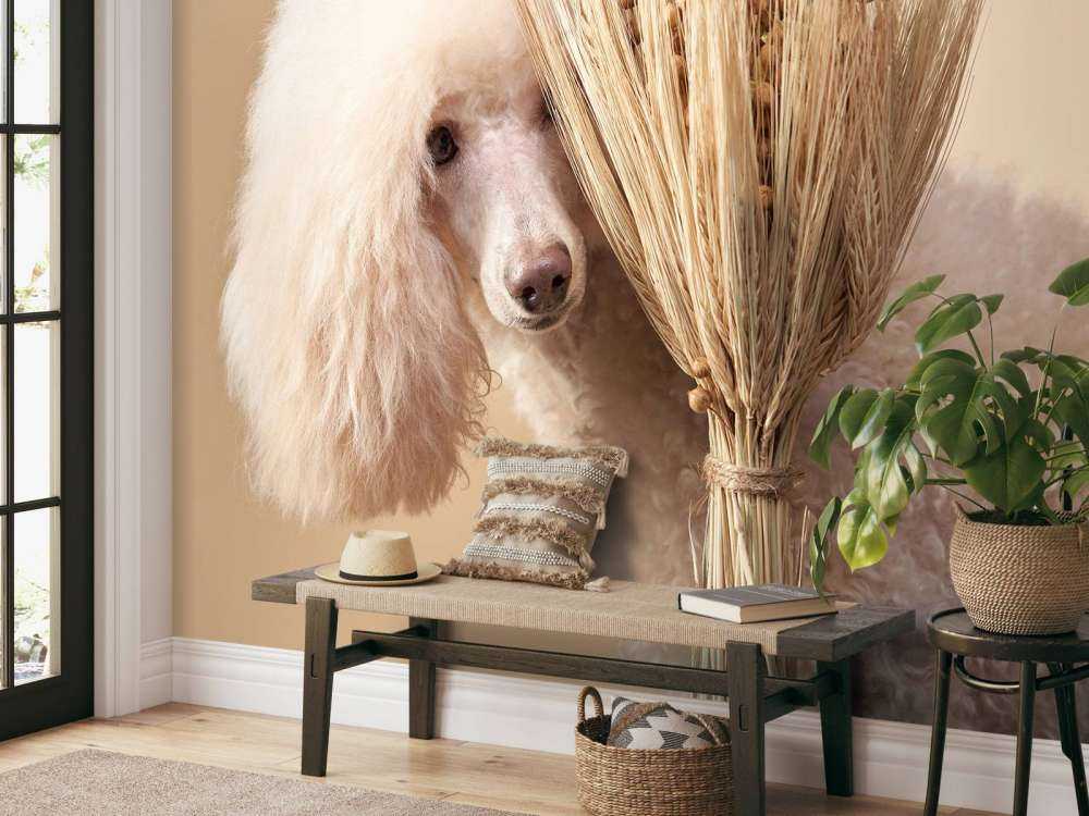 Hond en bloemen