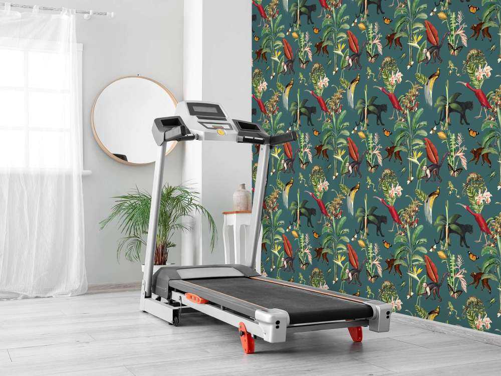 Kingdom Animalia Dark Teal