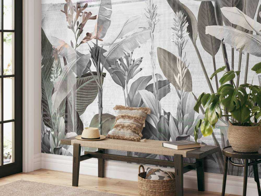 Dreams and Tropics 6