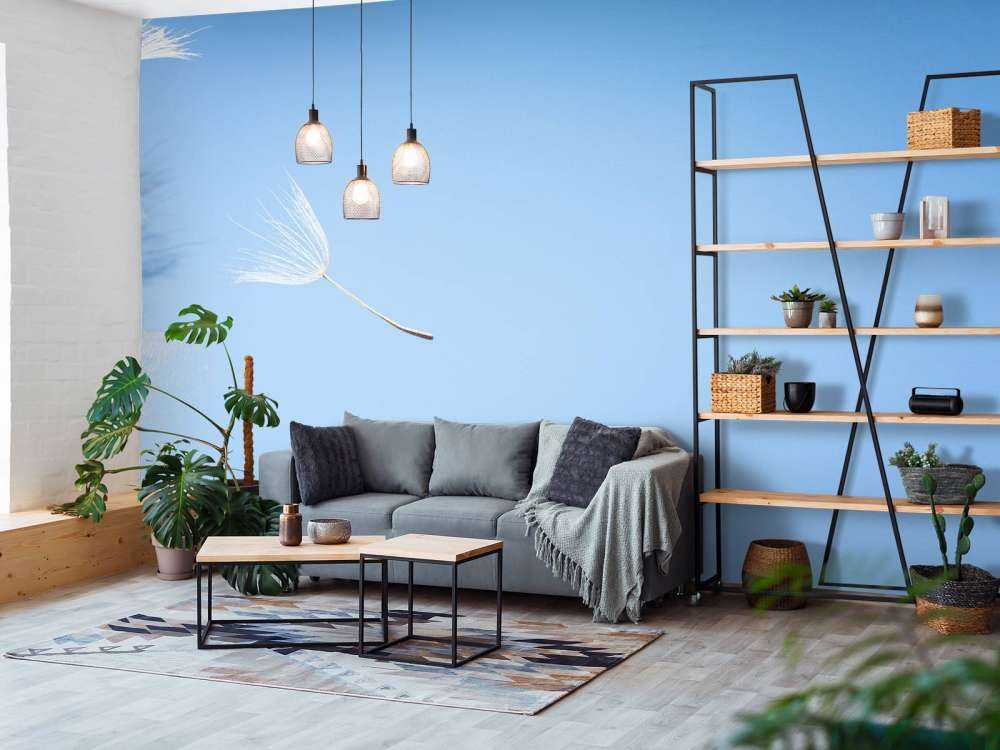 Vliegende paardenbloem pluis