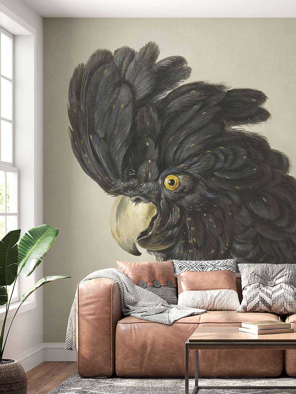 Black cockatoo portrait