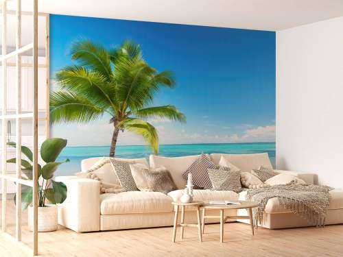 Palmboom