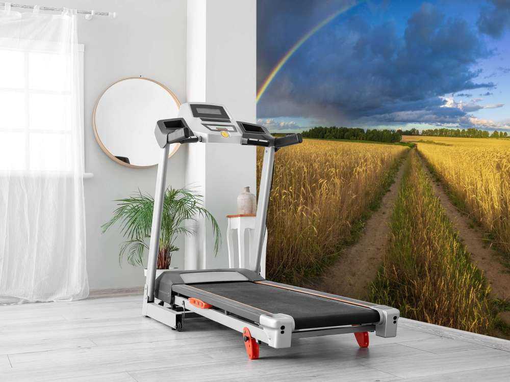 Regenboog over een graanveld