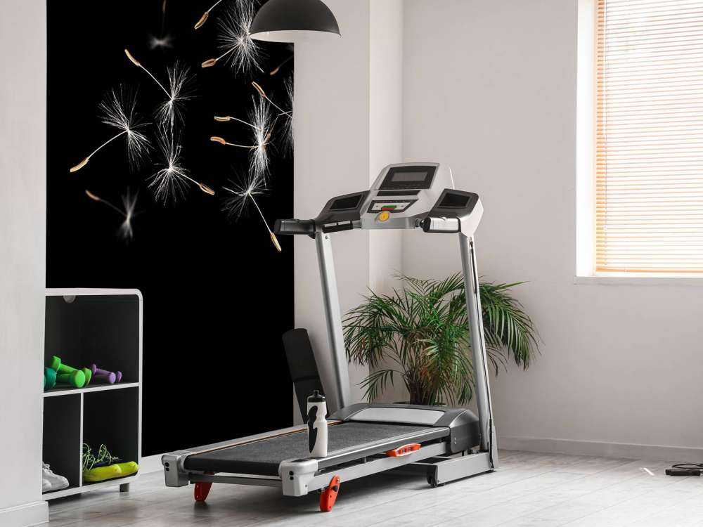 Paardebloem met een zwarte achtergrond