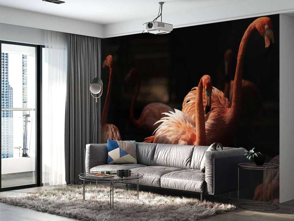 Flamingo's met een donkere achtergrond