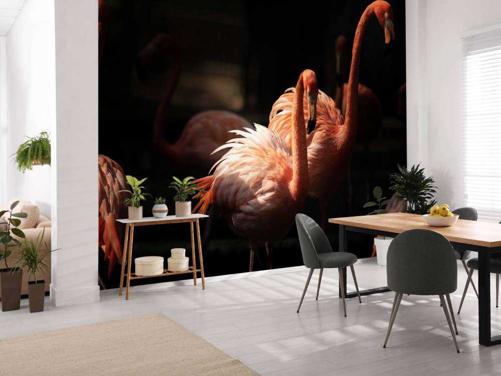 Flamingo's met een donkere achtergrond