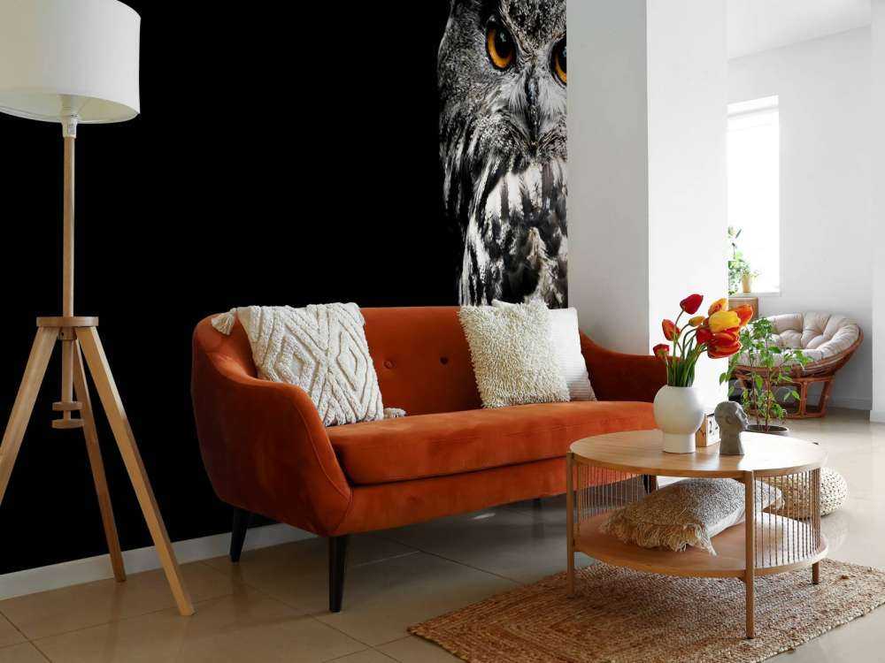 Uil in de duisternis