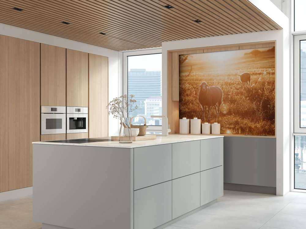 Schaap in prachtig weiland