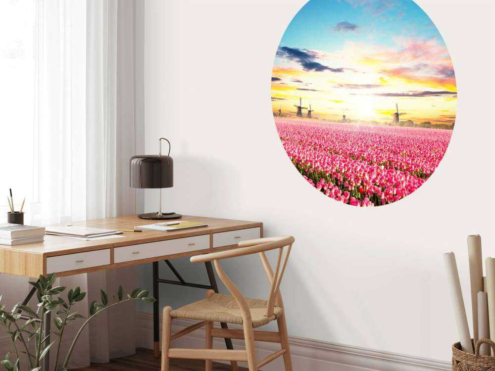 Hollands roze tulpenveld