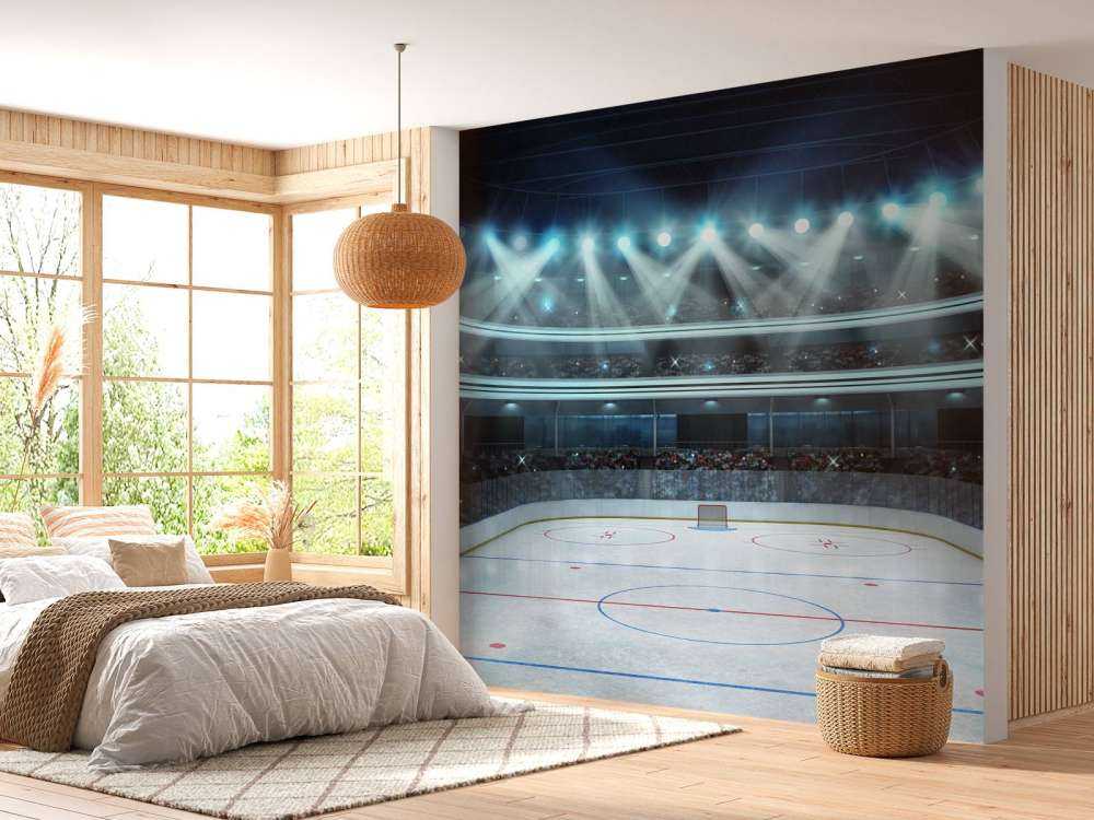 Luxueuze ijshockey arena op de lengte