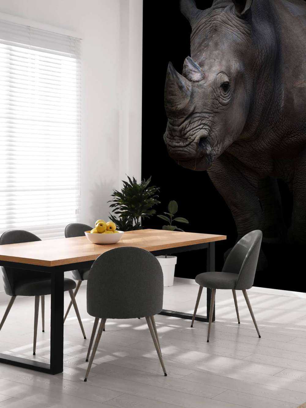 Neushoorn met een zwarte achtergrond