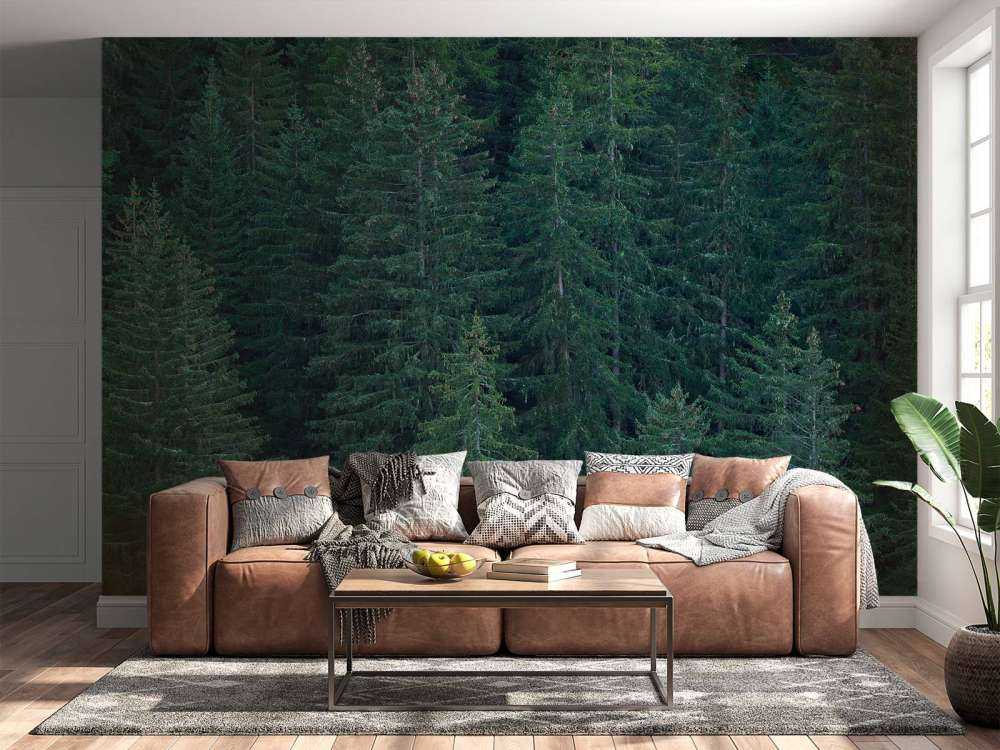 Naaldbomen met dennenappels