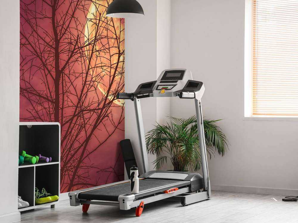 Kleurrijke maan design