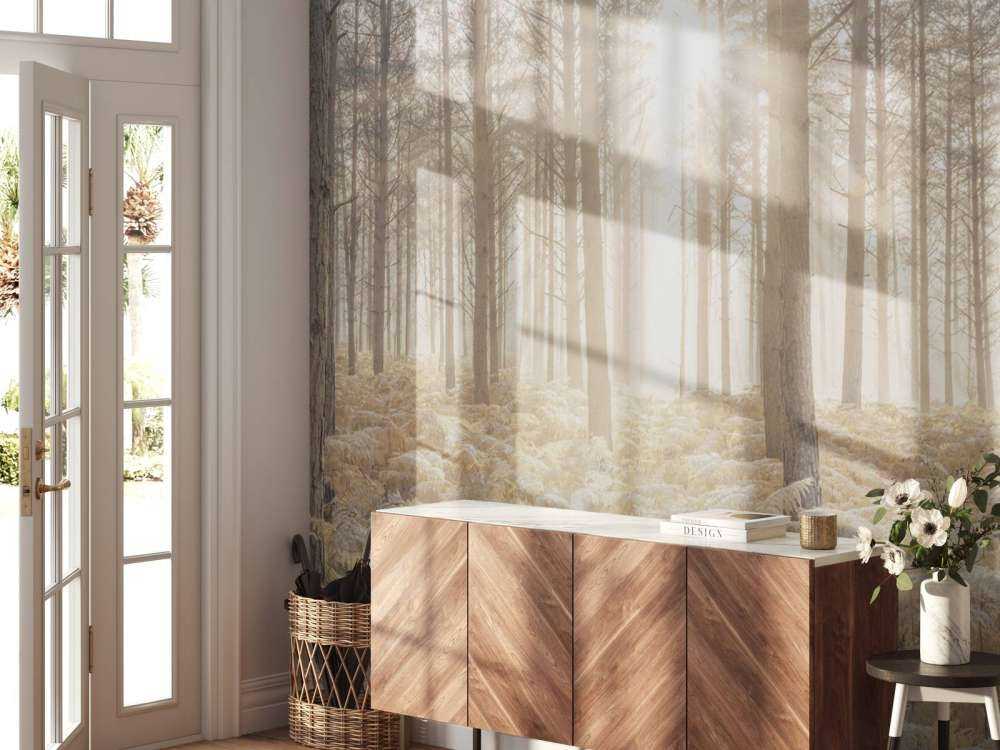 Zonnestralen in het koude bos