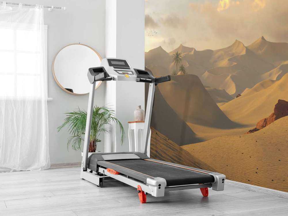 Golden hour in de woestijn