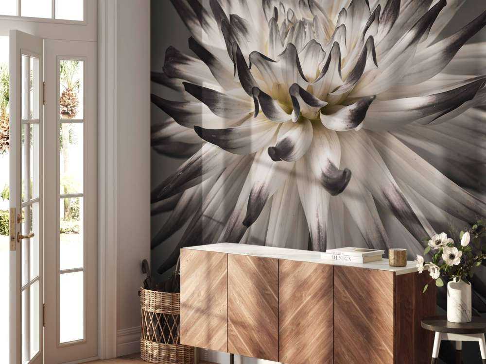 Dahlia bloem zwart wit