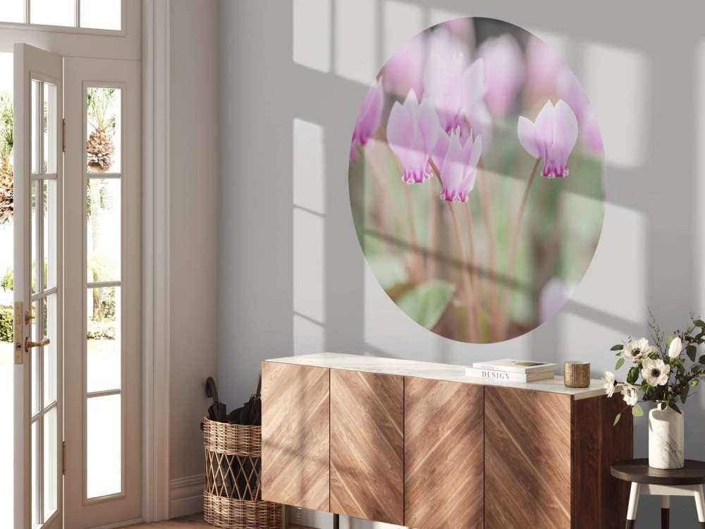 Mooie klimop bloemen