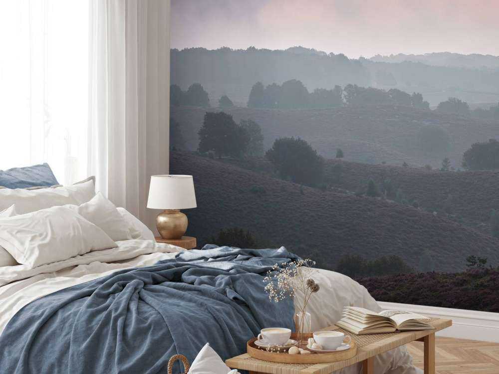 Mistige zonsopkomst op de heide