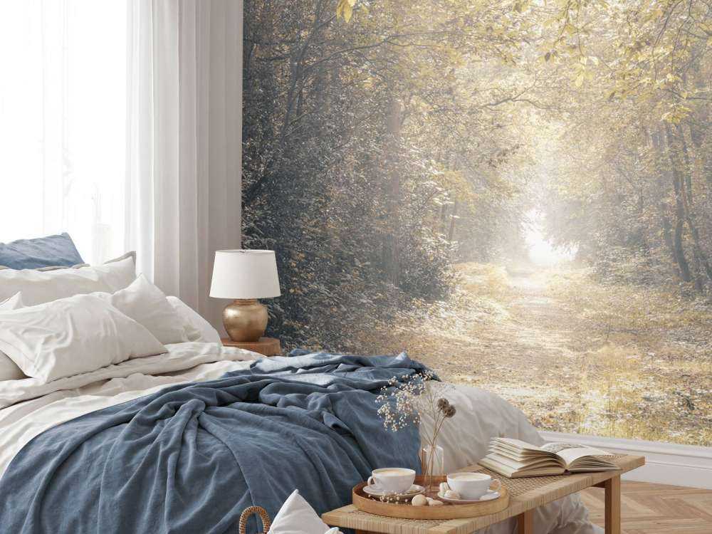 Pad door een verlaten bos