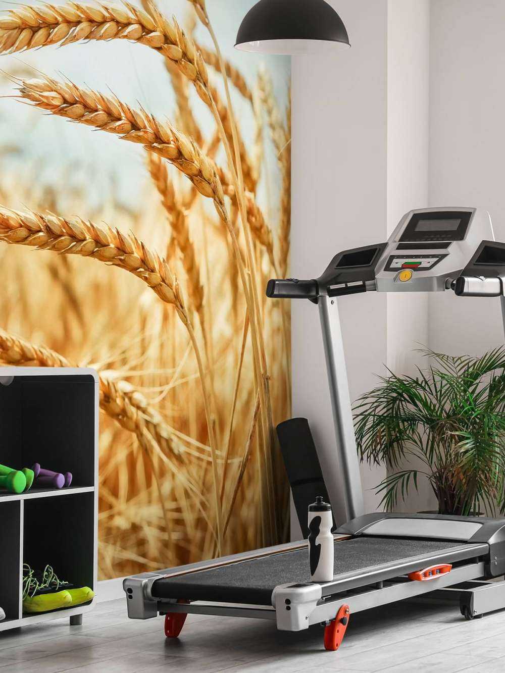 Close up van een granen plant