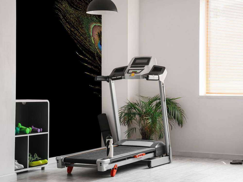 Kleurrijke pauwenveer