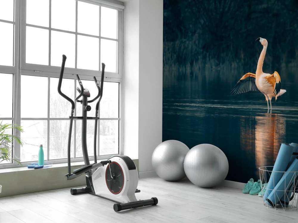 Flamingo in verlaten meer