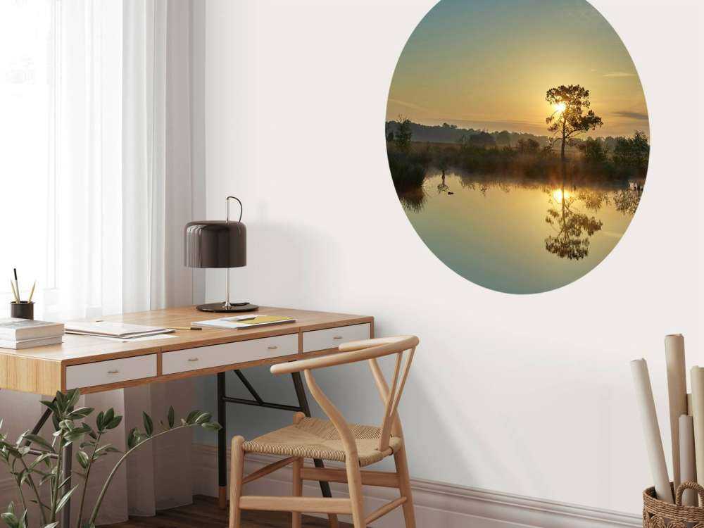 Zonsopkomst bij bosven