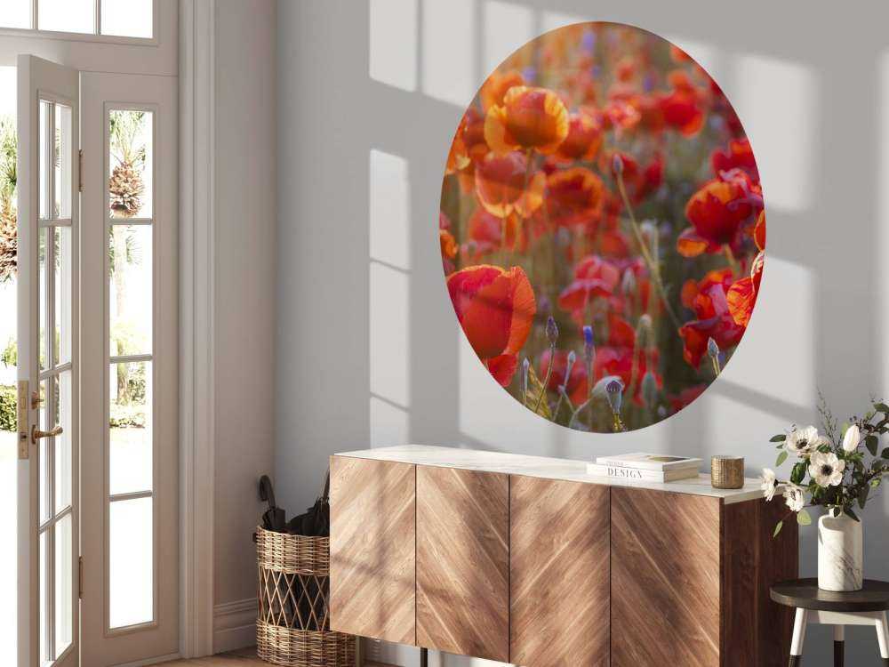 Klaprozen en korenbloemen