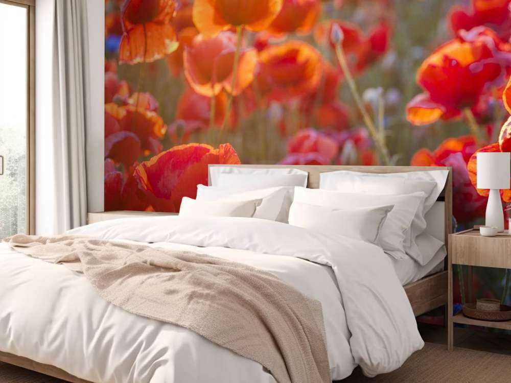 Klaprozen en korenbloemen