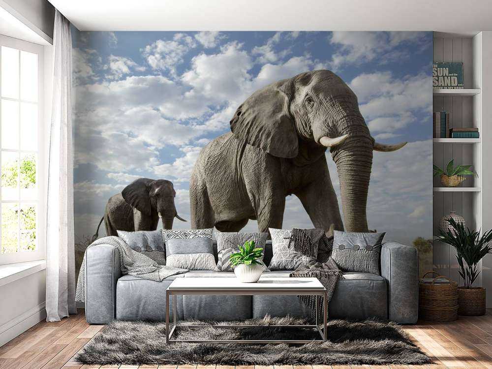 Passerende olifanten