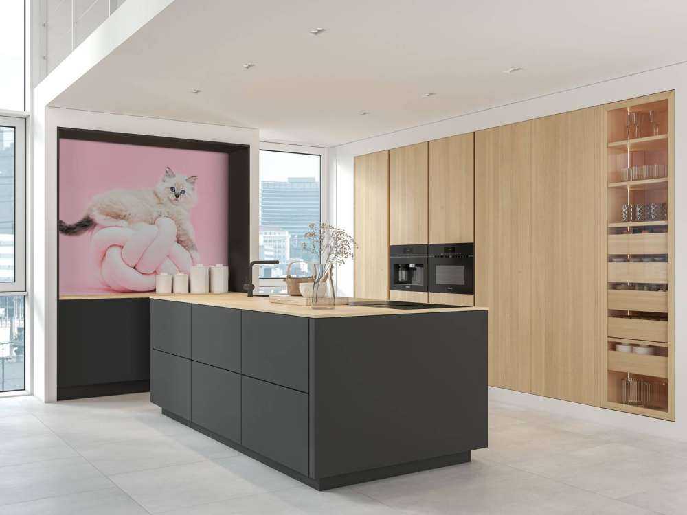 Witte poes op roze achtergrond