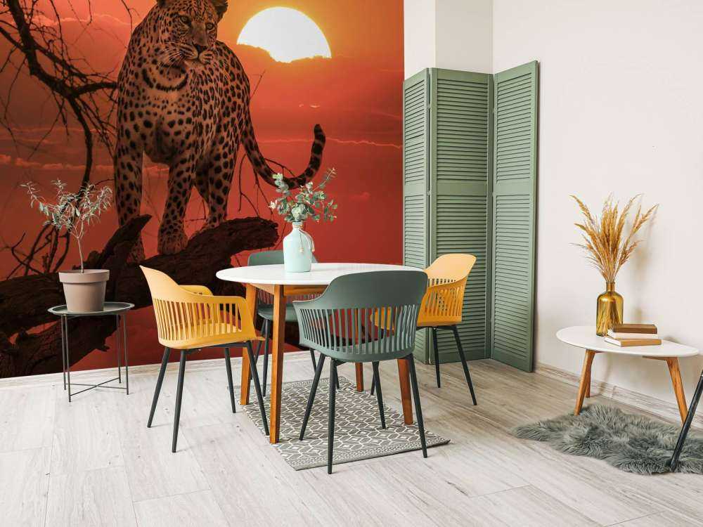 Luipaard met ondergaande zon