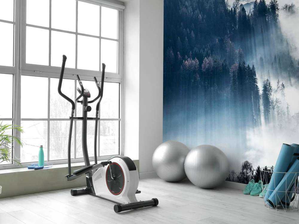 Ochtendlicht in mistig woud