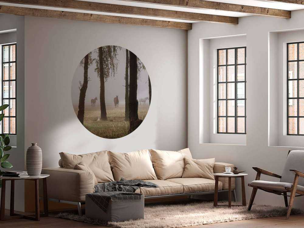 Paarden in de Ochtendnevel